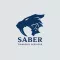 Saber Financial Services