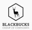 Blackbuck Engineers Private Limited