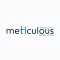 Meticulous Business Solutions Private Limited