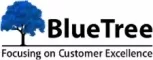 BlueTree Consultancy Services Private Limited