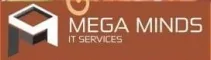 Megaminds IT Services