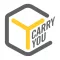 Carry You