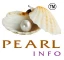 Add Pearlinfo Private Limited