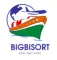 Bigbisort Import And Export Private Limited