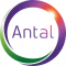 Antal International Network