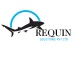 Requin Solutions Private Limited