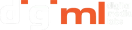 DIGIML CONSULTING LLP