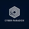 Cyber-Paradox