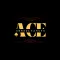 Ace Consultancys