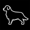 Lead Generation work from home job/internship at EVELYNONE10 VENTURES PRIVATE LIMITED