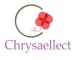 Business Development Associate Job in Mumbai at Chrysaellect