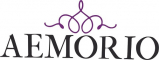 Web Development Internship in Jaipur at Aemorio