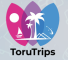 Digital Marketing work from home job/internship at Toru Trips Private Limited