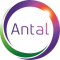 Research Associate - IT Recruiter Job in Chennai at Antal International Network