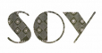 Apparel Merchandising Internship in Noida at Shades Of You