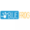 Junior Social Media Marketing Associate Job in Gurgaon at Blue Frog Solutions Private Limited