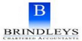 Finance Executive Job in Bhopal at Brindleys Accountancy Services Private Limited