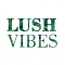 Accountant Job in Mumbai at Lushvibes