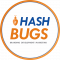 Graphic Design Internship in Firozabad at HashBUGS