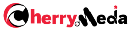 Social Media Marketing work from home job/internship at CherryMedia