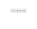 Digital Marketing Manager Job in Mumbai at Calmirize INC