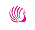 Market Research Internship in Multiple locations at PavoRaj