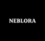 Content Creator And Social Media Marketing (Reels) work from home job/internship at Neblora