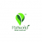 40 Graphic Designer & Animator | WFH | Full Time Jobs in Jaipur, Jun ...