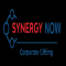 Sourcing (Searching Corporate Gifting Products Both Online/Offline) Internship in Mumbai at Synergy Now
