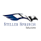 Graphic Design work from home job/internship at Steller Sprangs Solutions Private Limited