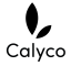 AI Agent Automation work from home job/internship at Calyco Paints