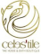 Executive Assistant/Office Coordinator-Females Job in Hyderabad at Celestile