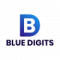 Data Entry work from home job/internship at Blue Digits