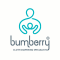 Android App Development work from home job/internship at Bumberry Baby Products Private Limited