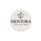 Digital Marketing work from home job/internship at Mentora