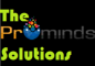Content Writing Internship in Delhi at The Prominds Solutions