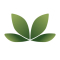 Graphic Design work from home job/internship at Vedabalance Himalayan Harmony Pvt Ltd.