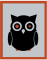 Business Development (Sales) work from home job/internship at 360 OWL