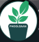 Search Engine Optimization (SEO) work from home job/internship at Phooldaan