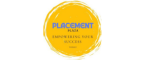 Associate Software Developer Internship in Delhi at Placement Plaza Private Limited