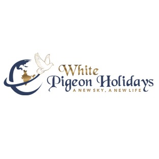 Digital Marketing Specialist Job in Ghaziabad at WHITE PIGEON HOLIDAYS
