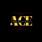Graphic Design work from home job/internship at Ace Consultancys